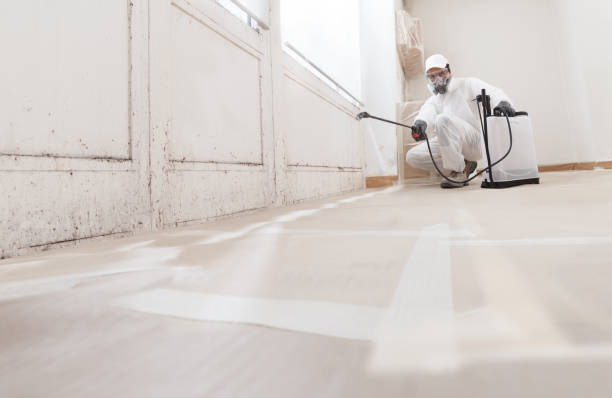 24/7 Emergency Commercial Mold Remediation experts in Abingdon, VA